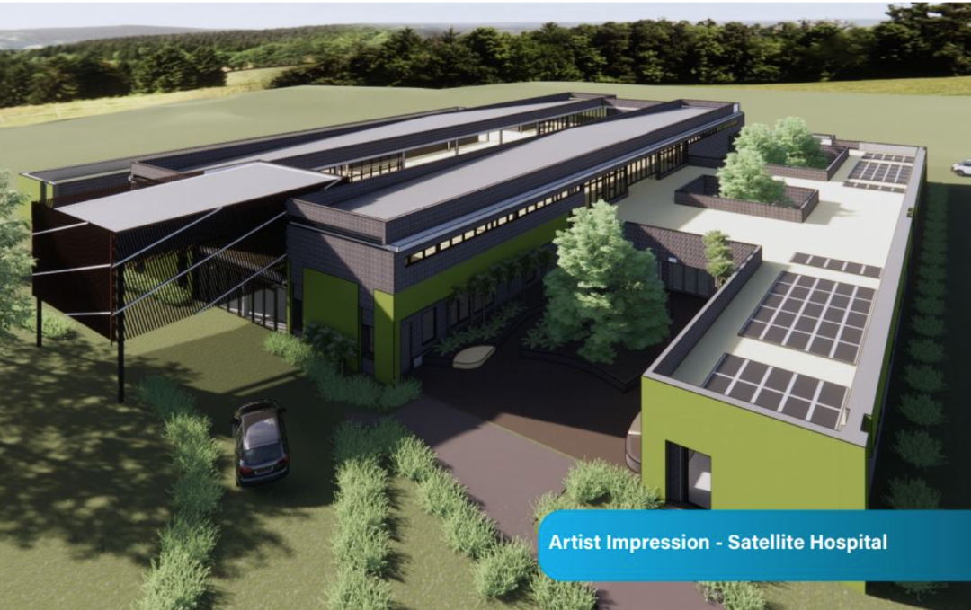 Satellite Hospital artist impression